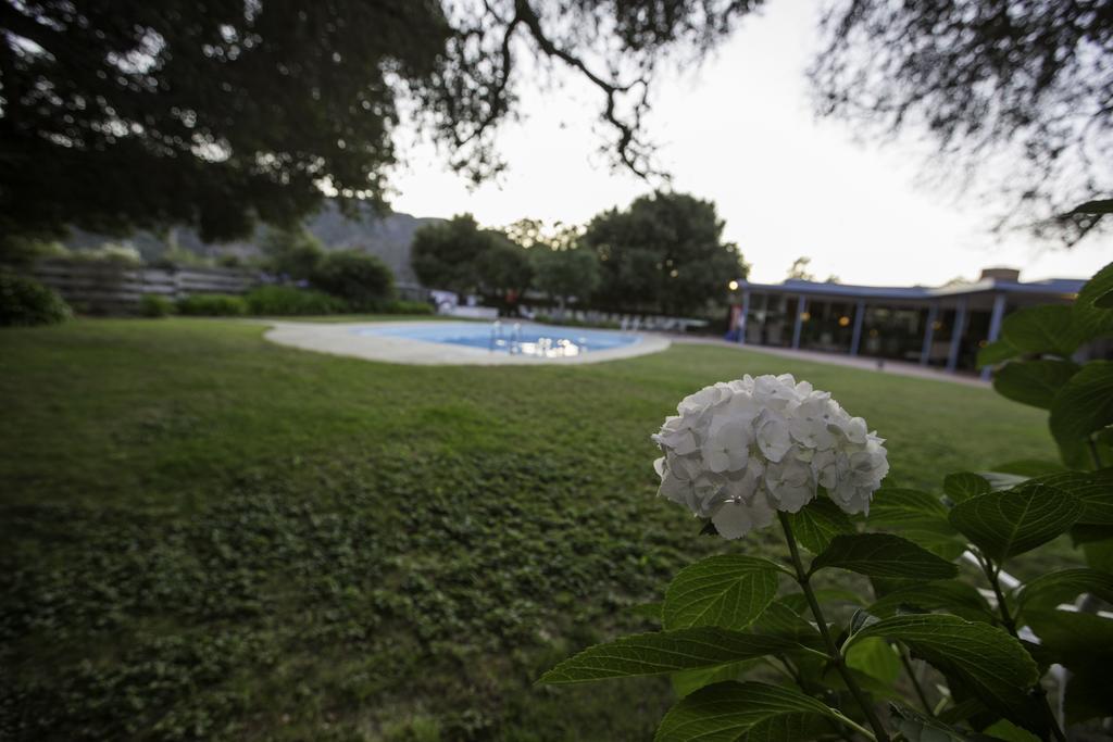 The Blue Sky Lodge Carmel Valley Ngoại thất bức ảnh